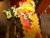 lion eats lettuce