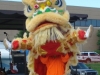 DSC02682