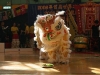 lion dance competition 2008